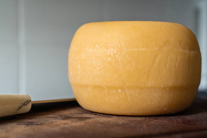 Российские учёные создали "антипростудный" сыр