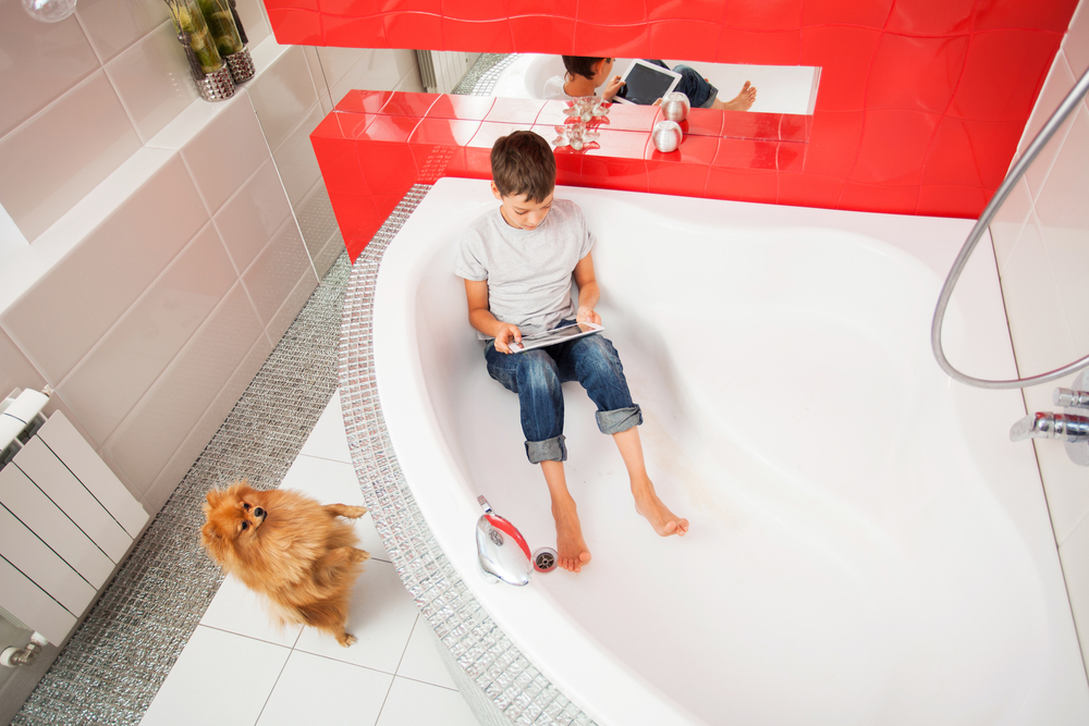 Ванная комната — зачастую наиболее безопасное помещение во время землетрясения. Фото © Shutterstock