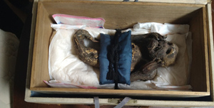 Японские учёные разгадали тайну мумии "русалки" из буддийского храма