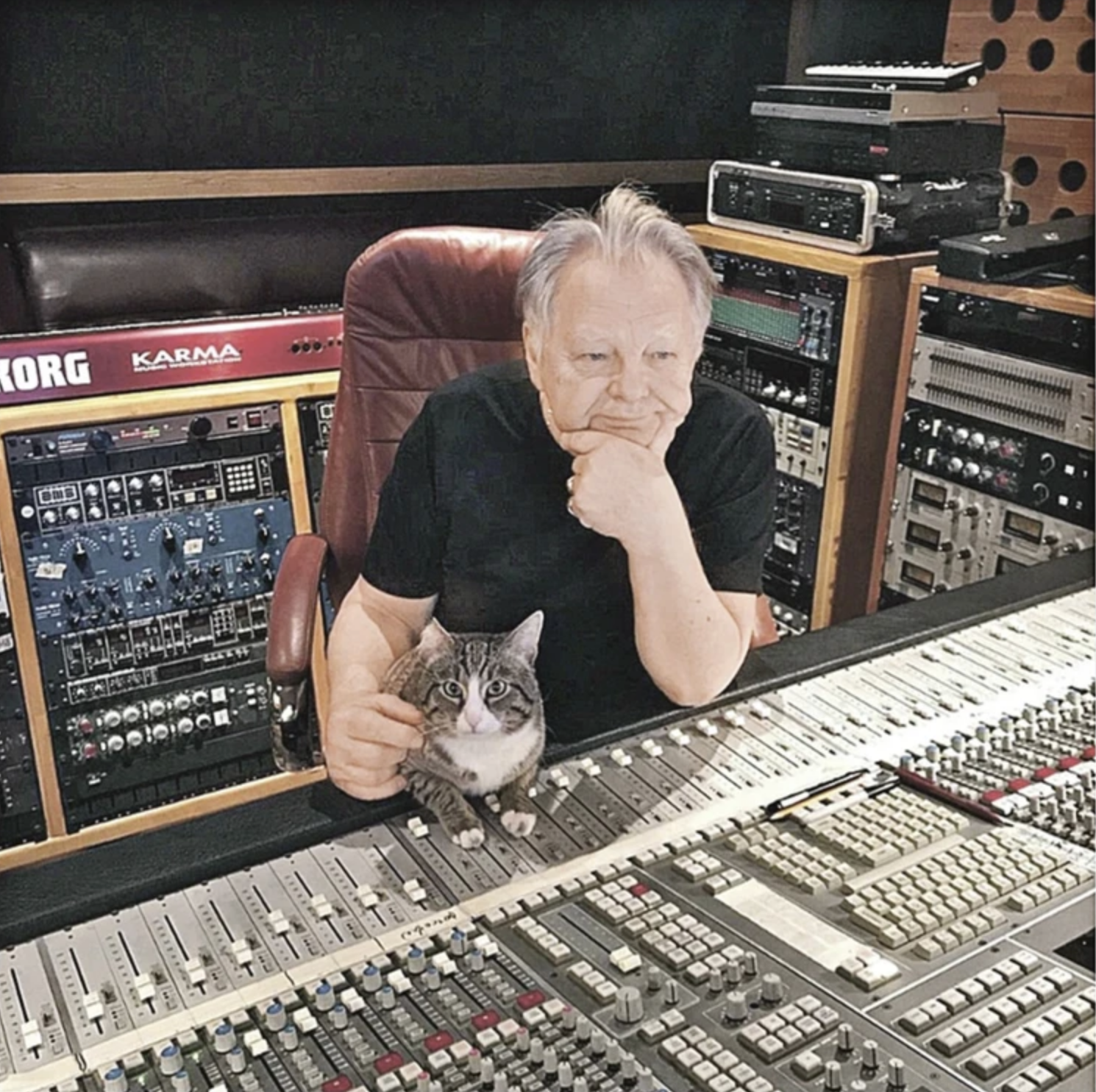 Оказалось, что у композитора Юрия Антонова больше 45 кошек! Фото © соцсети