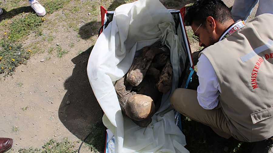 Найденная сумка с мумией. Обложка © Министерство культуры Перу