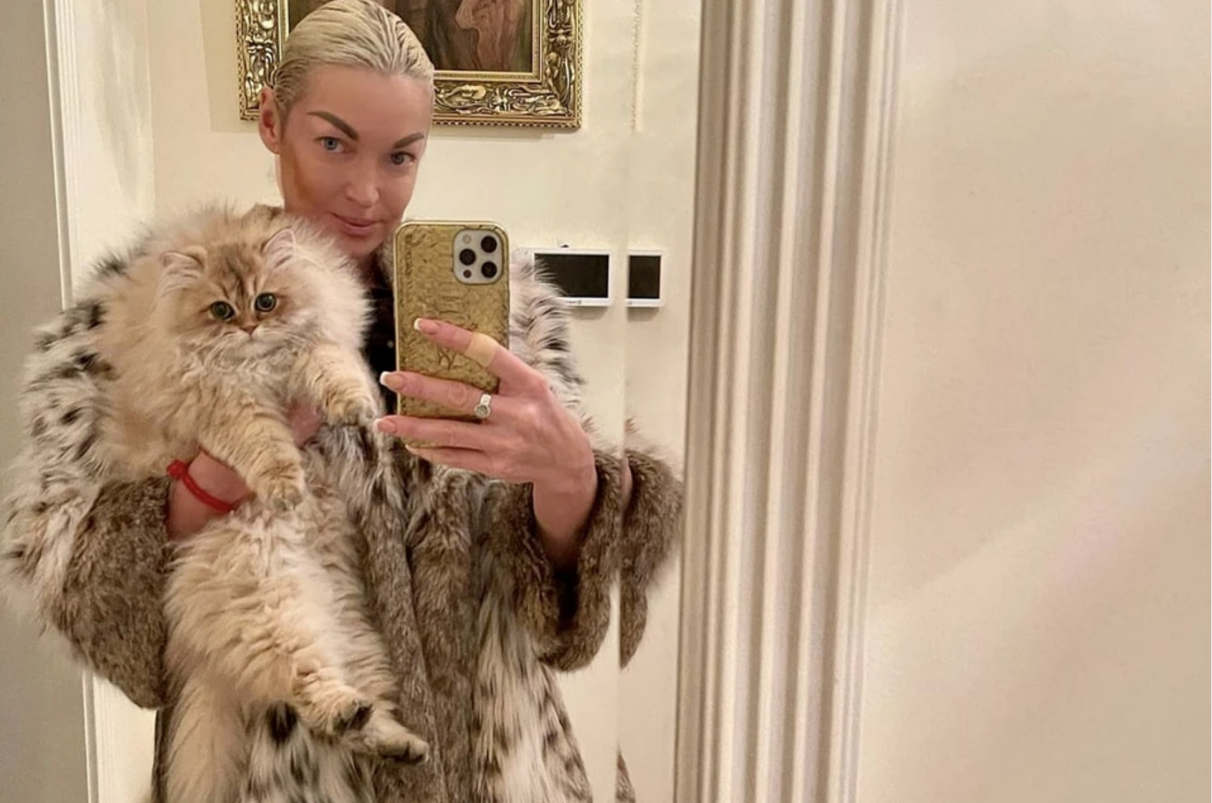 У кота Волочковой стоимостью 500 тысяч рублей есть даже личная домработница. Фото © соцсети