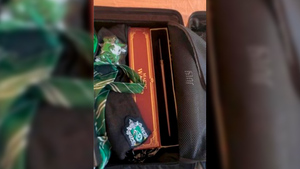 Грозное оружие в руках злодея: Австралиец нарвался на обыск в аэропорту из-за волшебной палочки в багаже