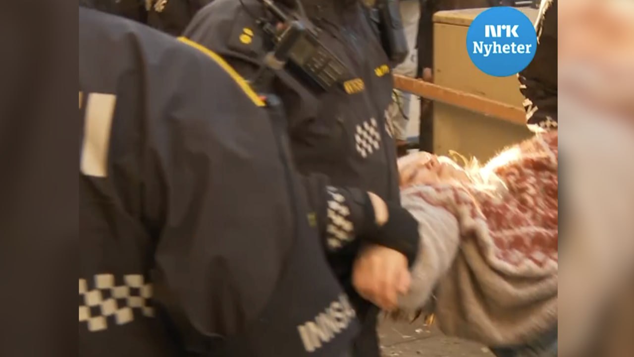 Полицейские на руках вынесли Грету Тунберг с акции протеста в Осло