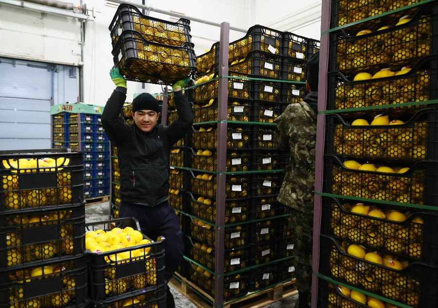 Сотрудник во время разгрузки ящиков с лимонами на складе оптовой продукции. Фото © ТАСС / Андрей Самсонов
