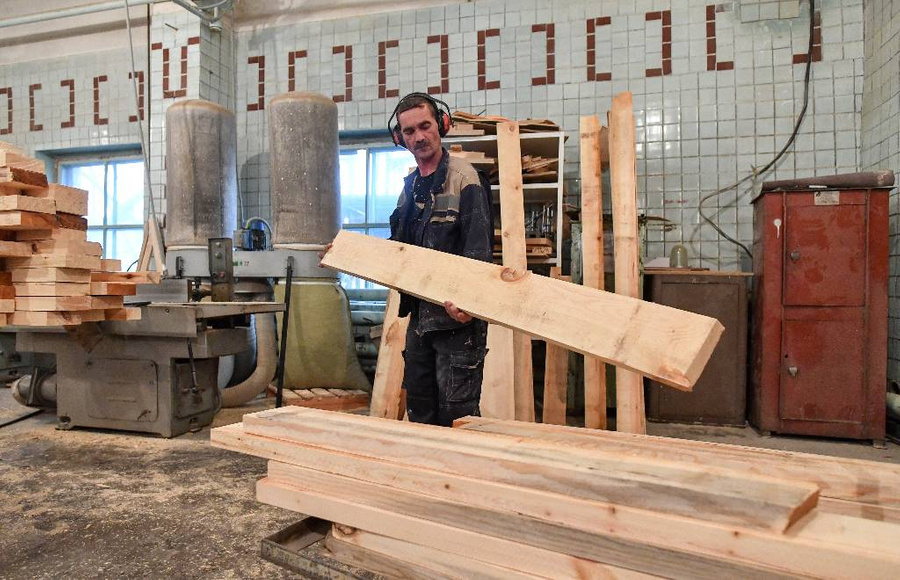 Линия производства столярных изделий лесопромышленного предприятия. Фото © ТАСС / Кирилл Кухмарь