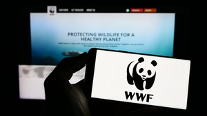 WWF и феминистка Nixelpixel признаны иноагентами