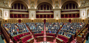 Сенат Франции одобрил пенсионную реформу, вызвавшую масштабные протесты