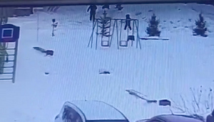 В Новосибирской области отец заставил дочь избить одноклассника за брошенный снежок