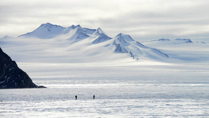 Украинские полярники "дерусифицировали" указатели в Антарктиде