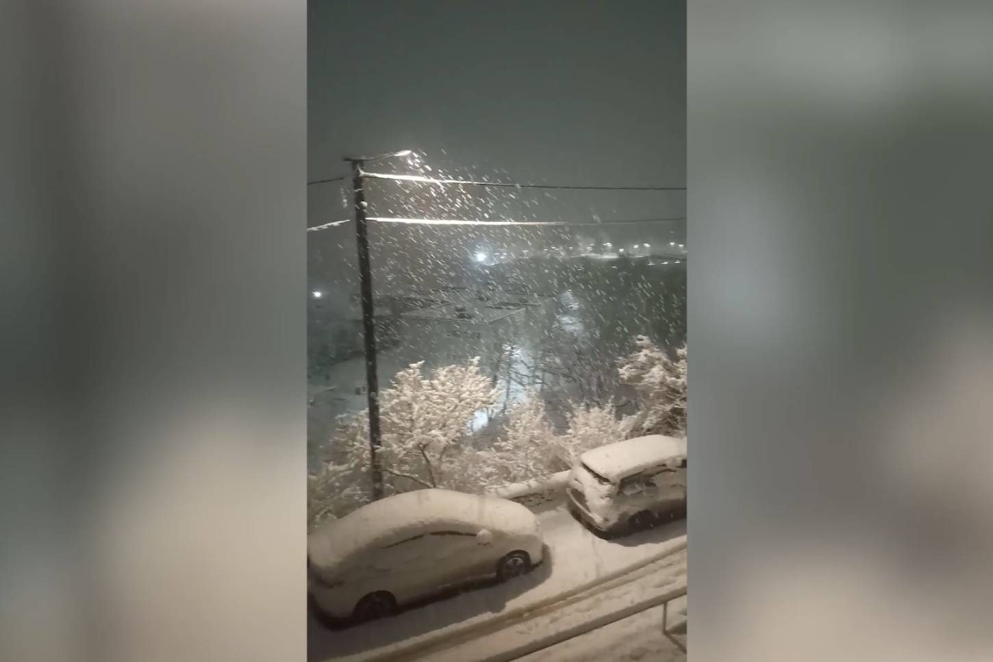 Шокированные жители Владивостока делятся зрелищными видео снежного апокалипсиса в марте
