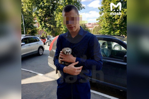 Задержан подозреваемый в громком убийстве в Подольске. И это не сын депутата Иванюженкова
