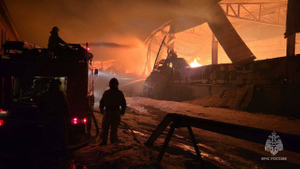 На Урале произошёл масштабный пожар