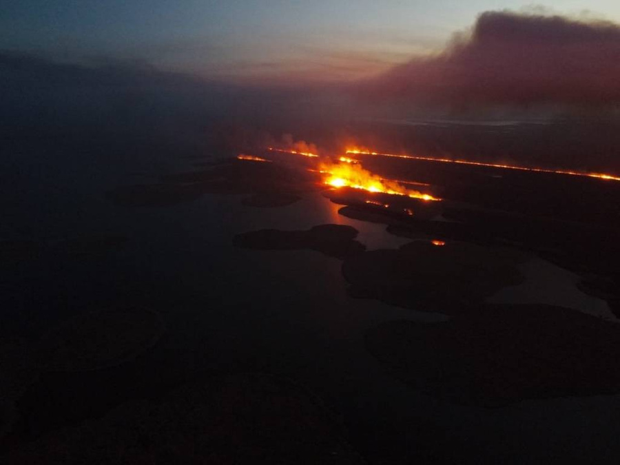 Пожар на территории Астраханского заповедника. Фото © VK / Астраханский биосферный заповедник