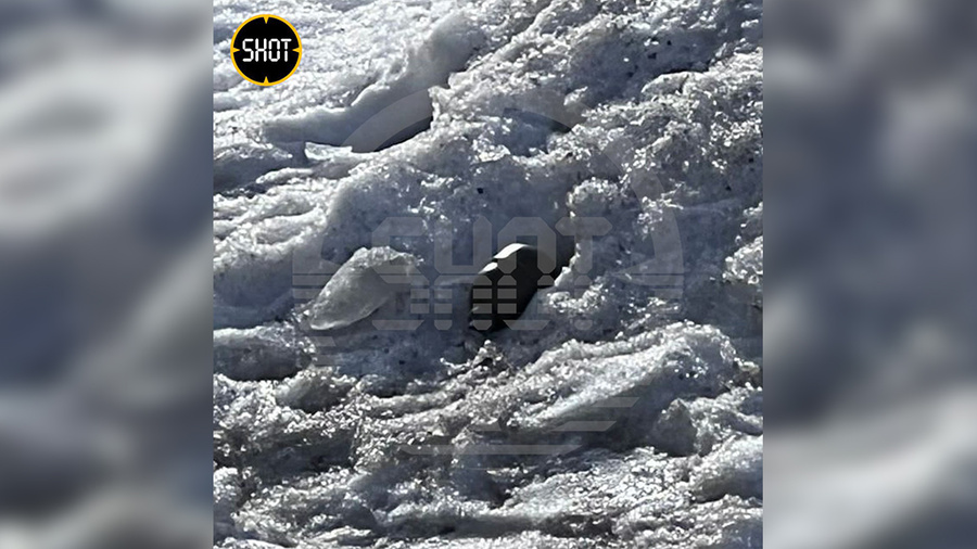Возле футбольного стадиона "Сатурн" в Раменском нашли гранату. Фото © SHOT