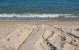 На пляже под Севастополем нашли тело мужчины без головы и конечностей