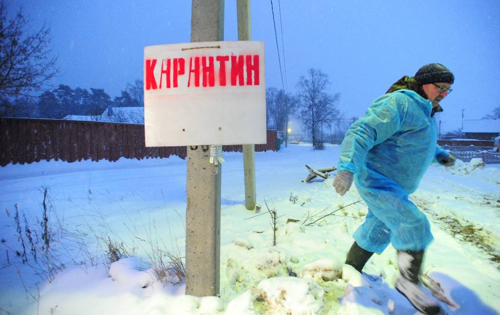 В чувашской деревне введён карантин из-за случаев заражения сибирской язвой