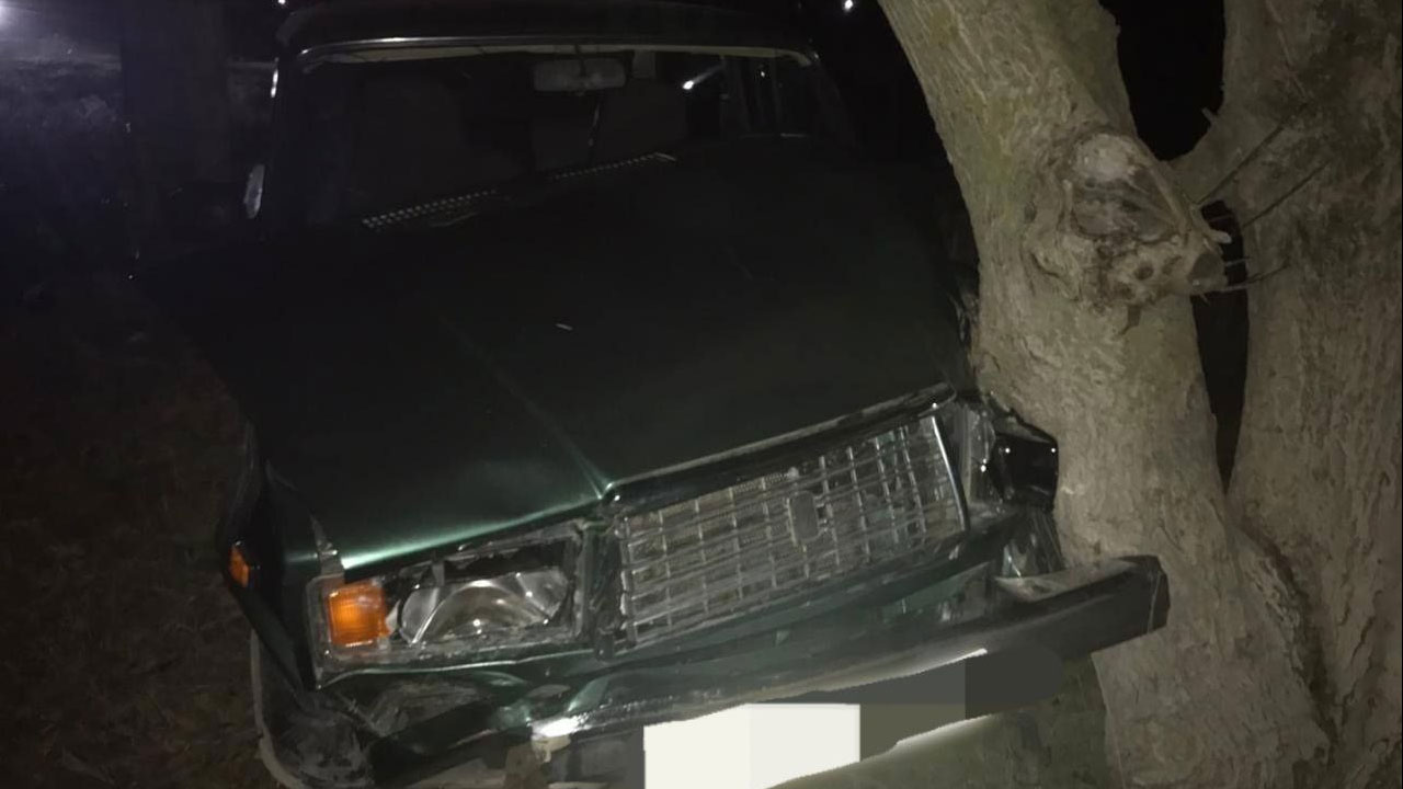 В Крыму пьяный водитель сбил семью с тремя детьми