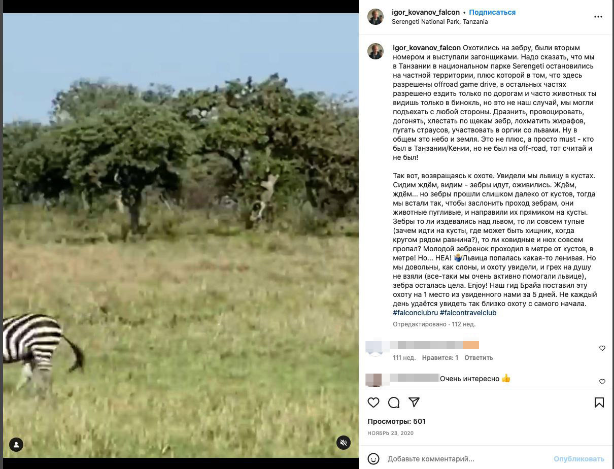 Члены клуба охотятся на зебр в Африке.Фото © Instagram (признан экстремистской организацией и запрещён на территории Российской Федерации) / igor_konanov_falcon