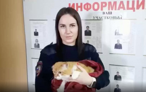 На Урале полиция спасла кота, которого треш-стример заставлял качать пресс ради просмотров