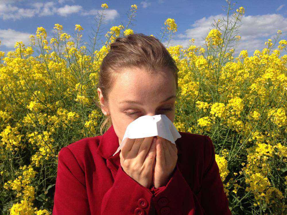 Краснодарские медики рассказали, как отличить ОРВИ от аллергии