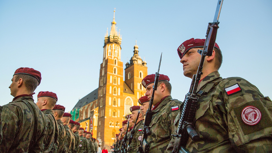 <p>Армия Польши. Обложка © Shutterstock</p>