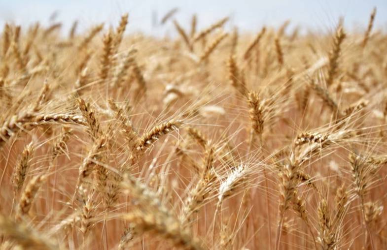 В ООН ответили на требования России по зерновой сделке