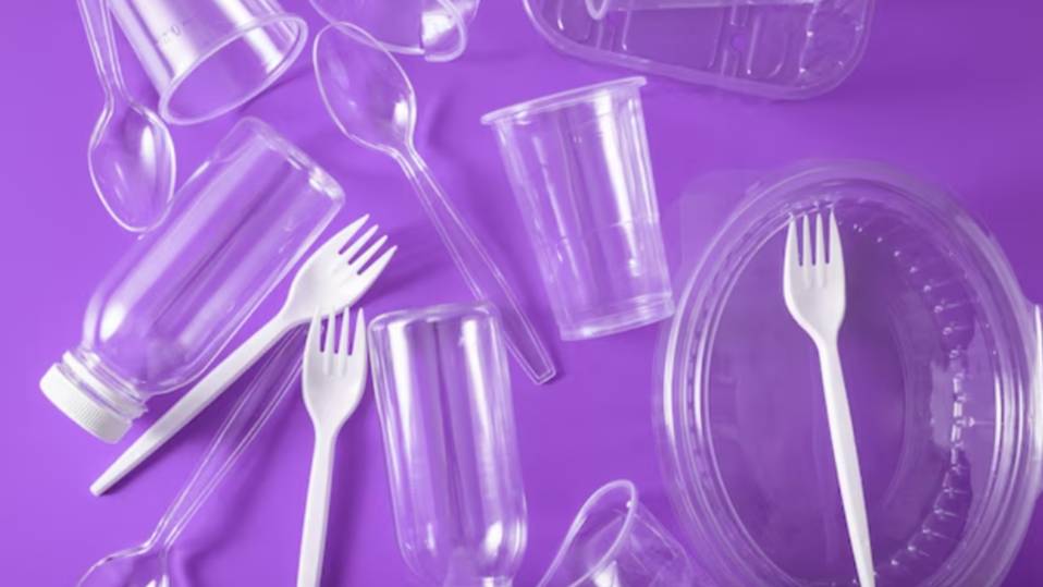 Власти предложили запретить 28 импортных товаров из пластика