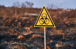 В МЧС России предупредили об экокатастрофе в случае использования Киевом урановых снарядов