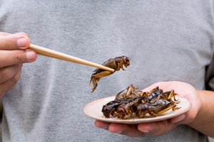 Врач оценила, может ли еда из насекомых заменить мясо