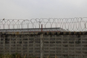 Посол Германии придумала "гениальный" план по разделению границ России и Украины