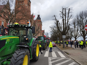 Польские фермеры протестуют против поставок зерна с Украины