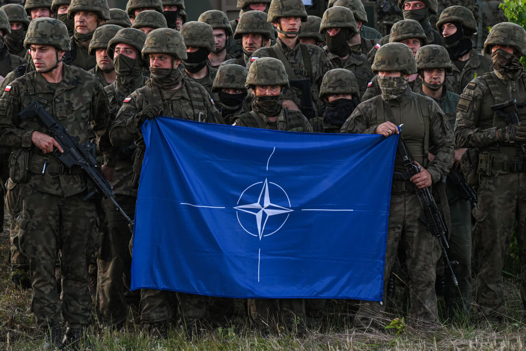 В США рассказали, в чём заключается главный парадокс НАТО