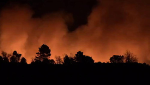 Леса Испании охватили масштабные пожары