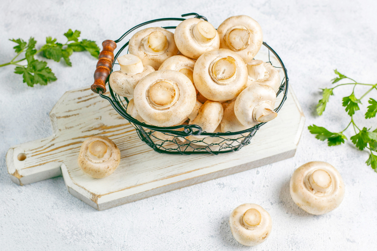 Как правильно готовить грибы и почему их мыть не стоит. Фото © Freepik / azerbaijan-stockers