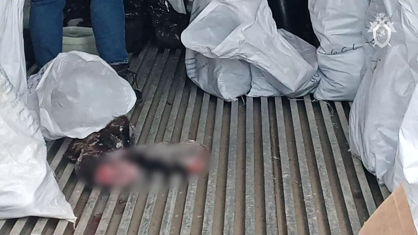 Задержан один из участников убийства стада оленей на севере Сахалина