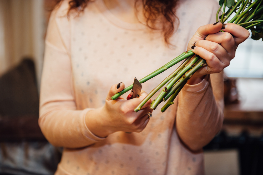 Способы, чтобы цветы дольше оставались свежими. Фото © Shutterstock