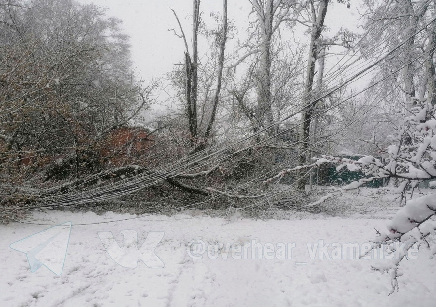 Последствия снегопада в Ростовской области. Обложка © t.me / overhear_vkamenske