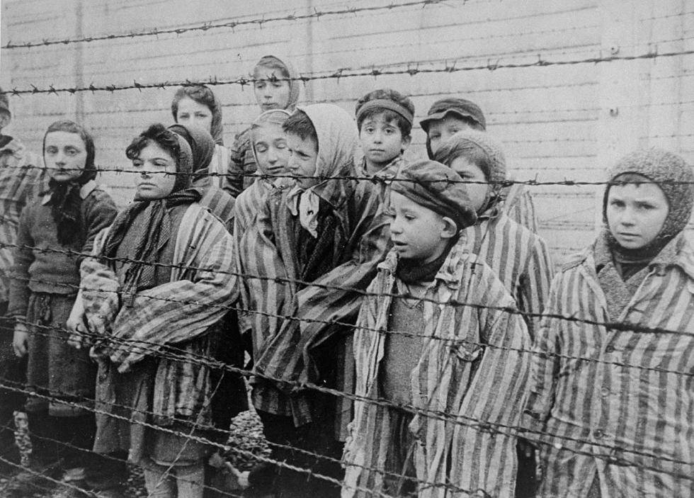 В СПЧ просят приравнять отрицание холокоста к реабилитации нацизма