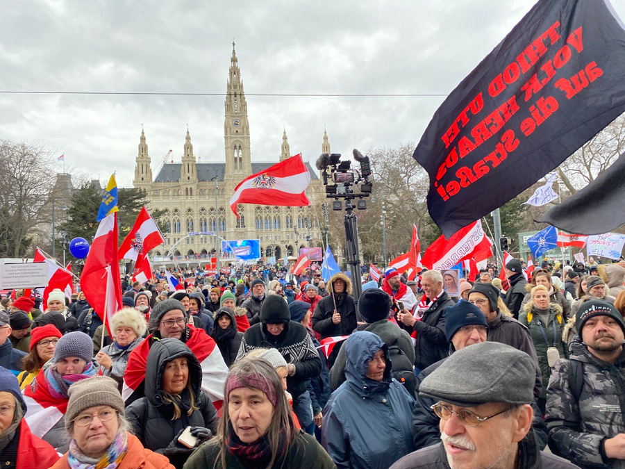 Митинг против поставок оружия Украине в Вене. Обложка © Twitter / Martin-BW