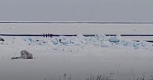 На Сахалине почти 20 рыбаков едва не унесло в открытое море на оторвавшейся льдине