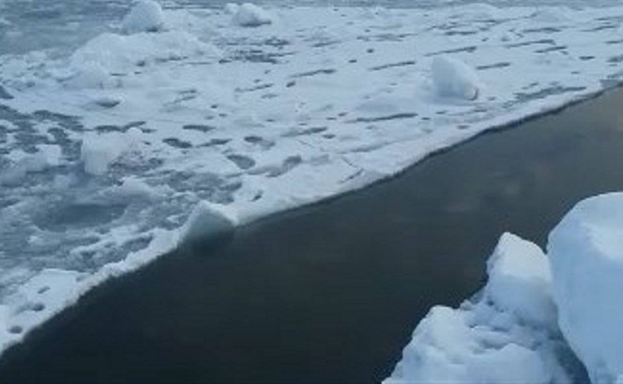 На Сахалине оторвало льдину с 15 рыбаками