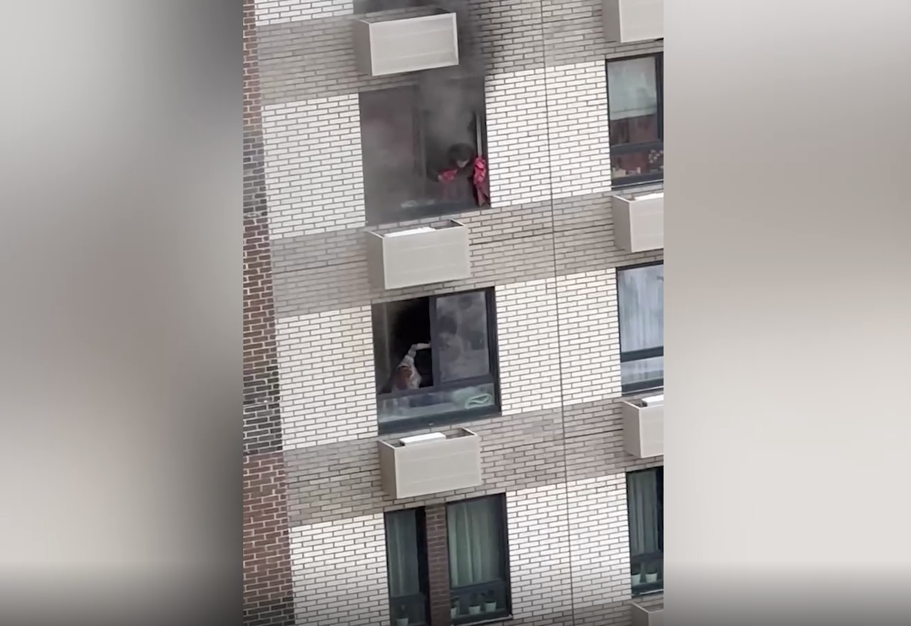 Квартира полыхает на 23-м этаже высотки в Москве, жильцы молят о помощи из окна