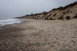 В Британии умерла 14-летняя украинка, которую нашли без сознания на пляже