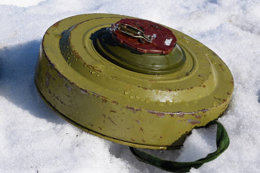 В одном из парков на северо-западе Москвы обнаружили противотанковую мину