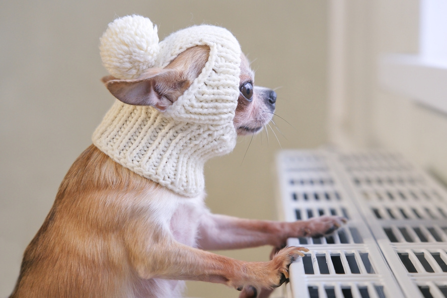 Обложка © Shutterstock