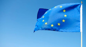 Евросоюз не смог найти большинство активов России