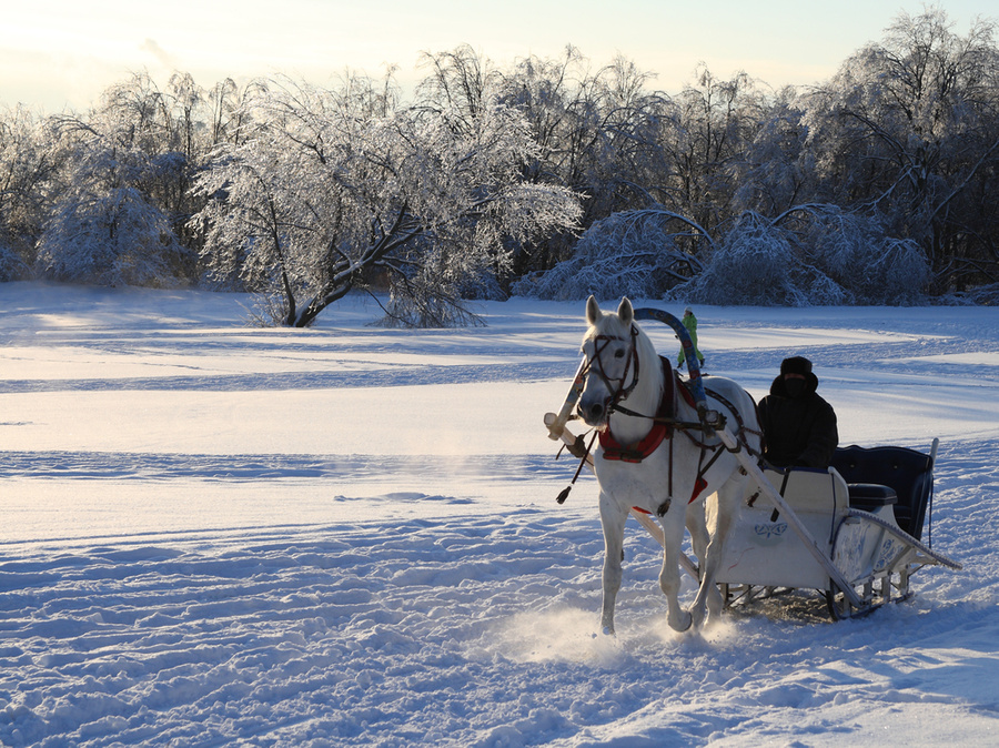 Обложка © Shutterstock