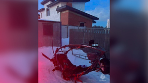 Дельтаплан упал на жилой дом в подмосковном Звенигороде