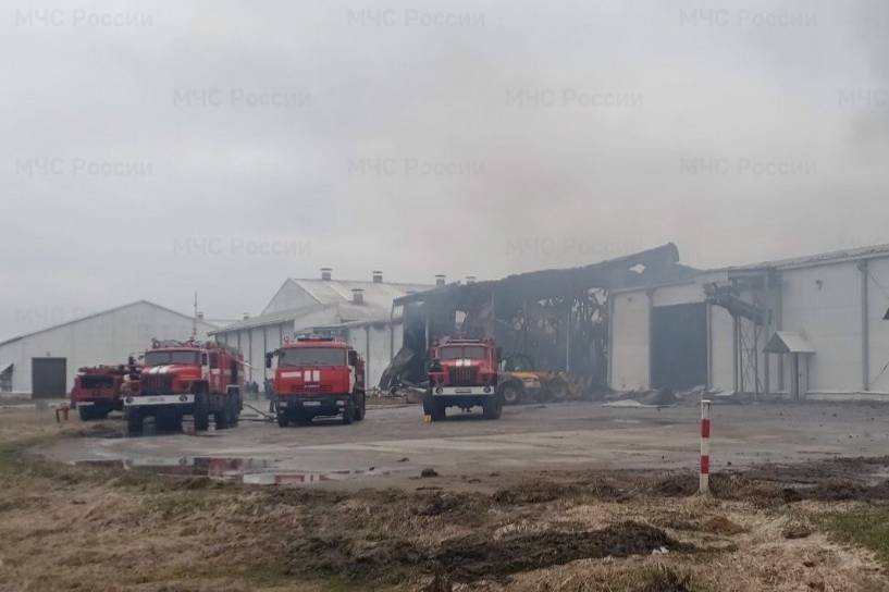 Один человек пострадал в результате пожара на птицефабрике в Брянской области